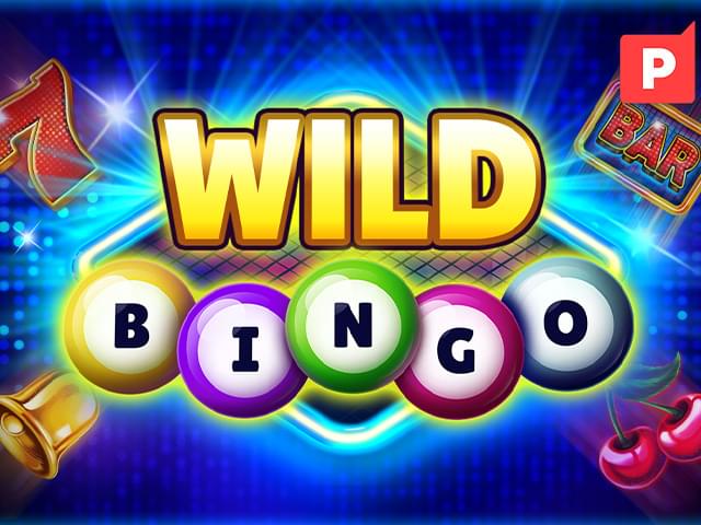 win23 Bingo Selvagem